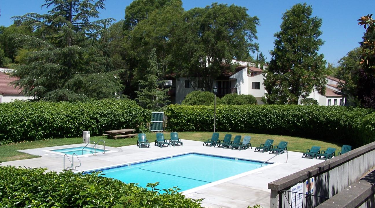 Zinfandel Pool