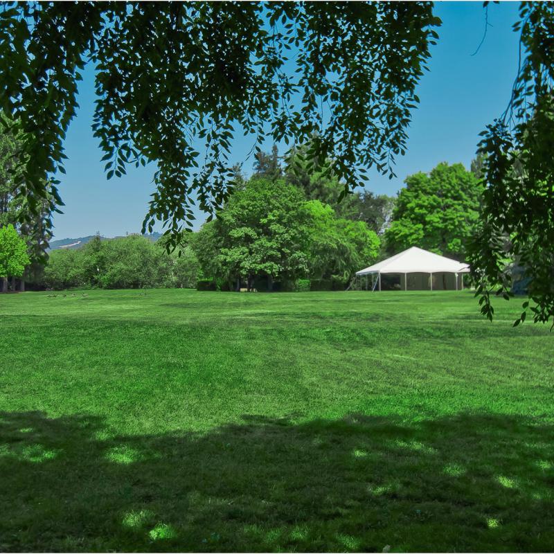 Green grass near lakes