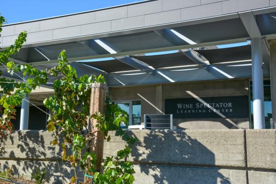 exterior of wine spectator building with grape vines in the foreground