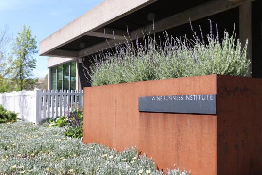 building exterior with a large copper colored planter filled with lavender and a sign that says Wine Business Institute