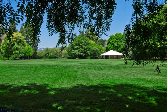 green lawn with view of lakes