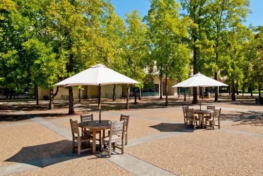 plaza with wooden tables and white umbrellas