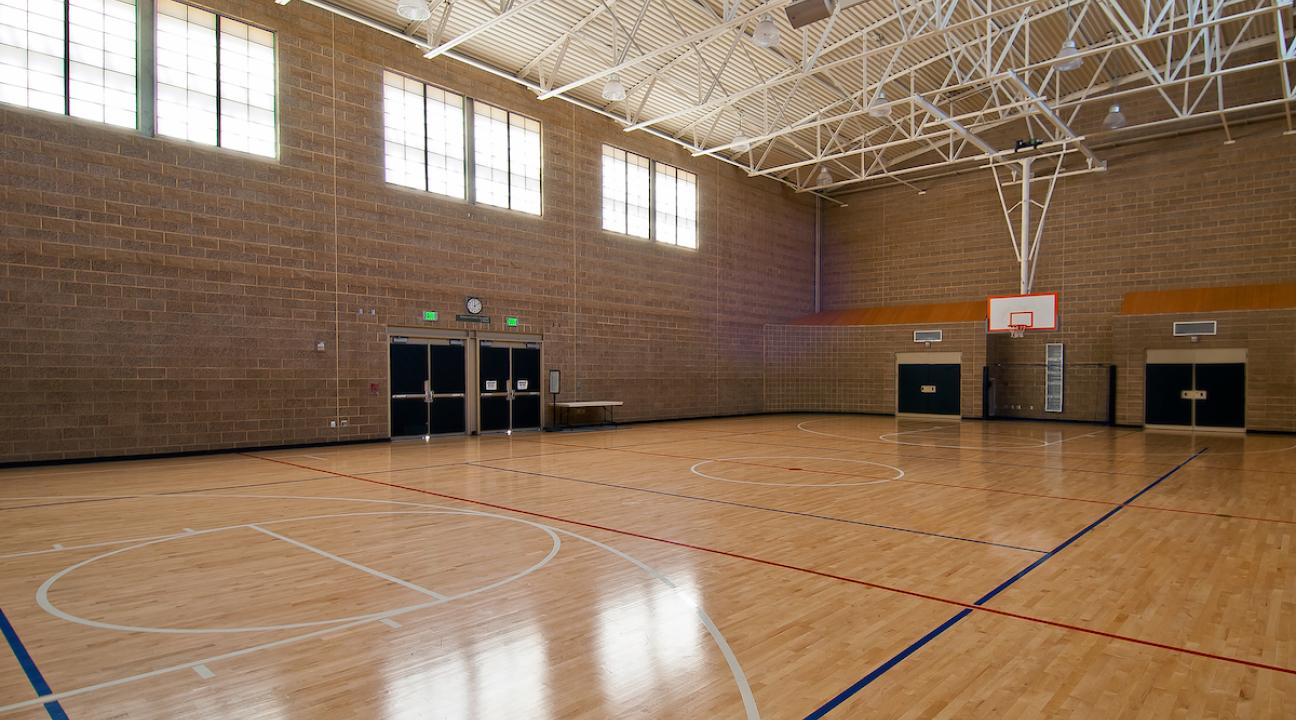 Denali Multi-Activity Court 