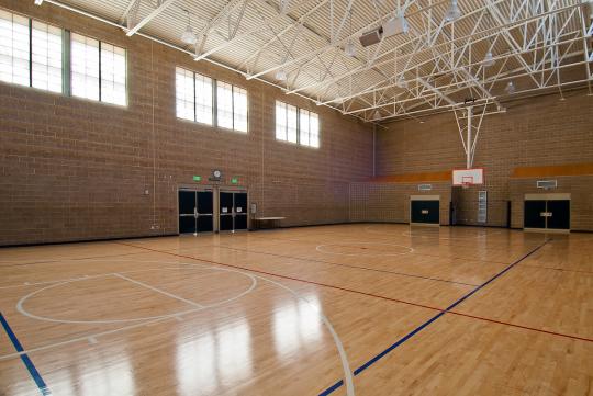 Denali Multi-Activity Court 